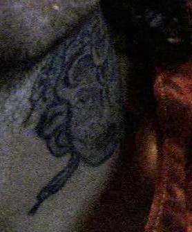 Enzo's tattoo