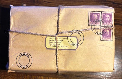 diary package replica