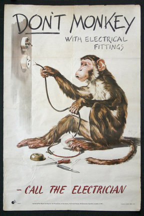 Don't Monkey with Electrical Fittings