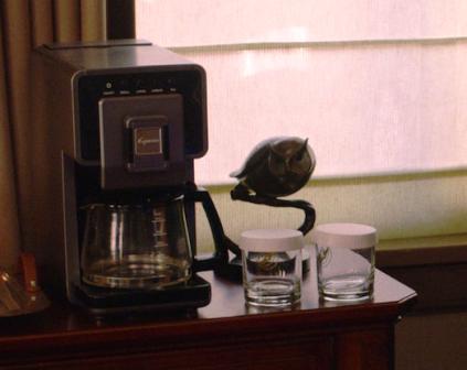 Coffee maker and owl