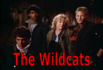 V: The Wildcats